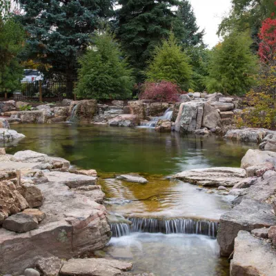 Large pond landscape