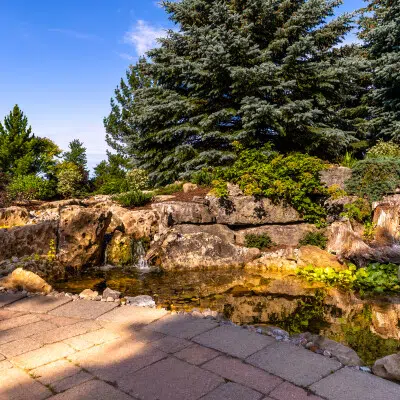 Small pond with stones