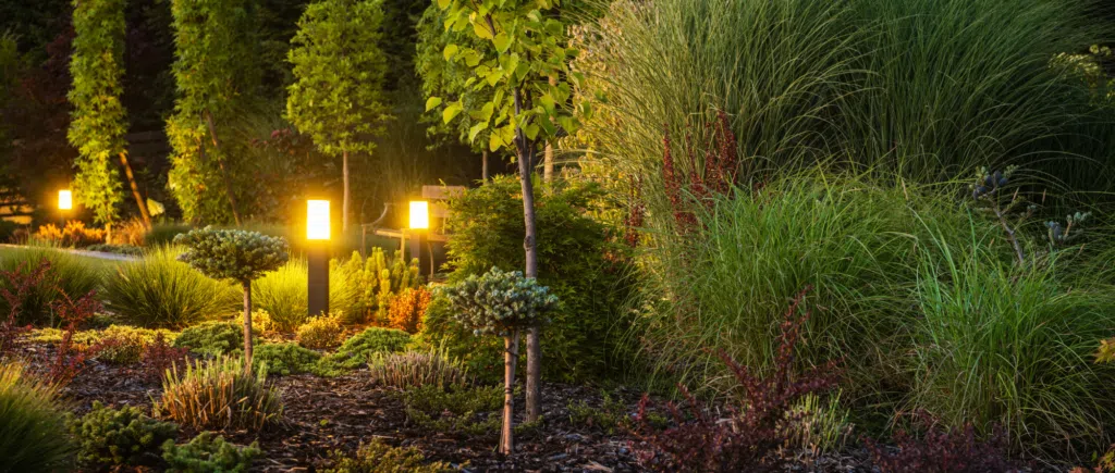 backyard with landscape lighting