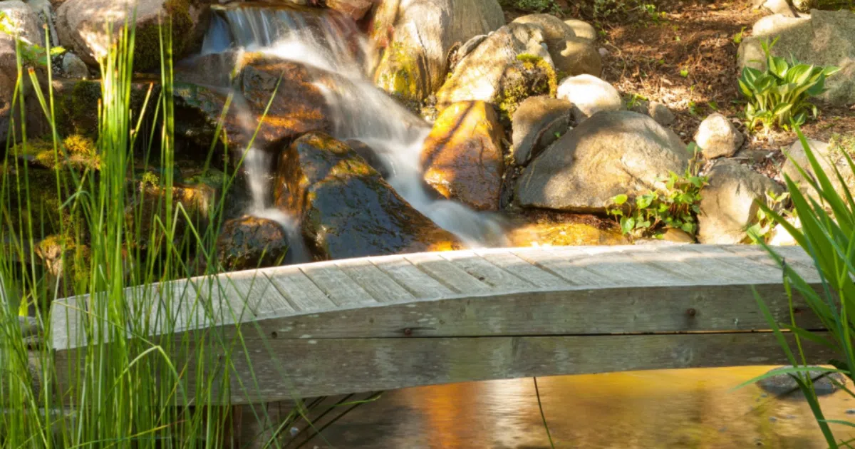 Raymar_Blog_Tips for Natural Landscaping