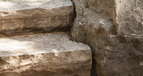 Landscape Construction